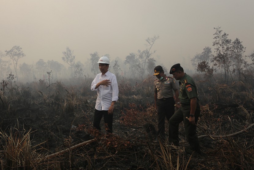 Presiden Joko Widodo didampingi Panglima TNI Jenderal TNI Gatot Nurmantyo (kanan) dan Kapolri Jenderal Pol Badrodin Haiti (tengah) meninjau lokasi kebakaran lahan di Desa Pulo Keronggan, Ogan Komering Ilir, Sumsel, Ahad (6/9). (Antara/Nova Wahyudi)