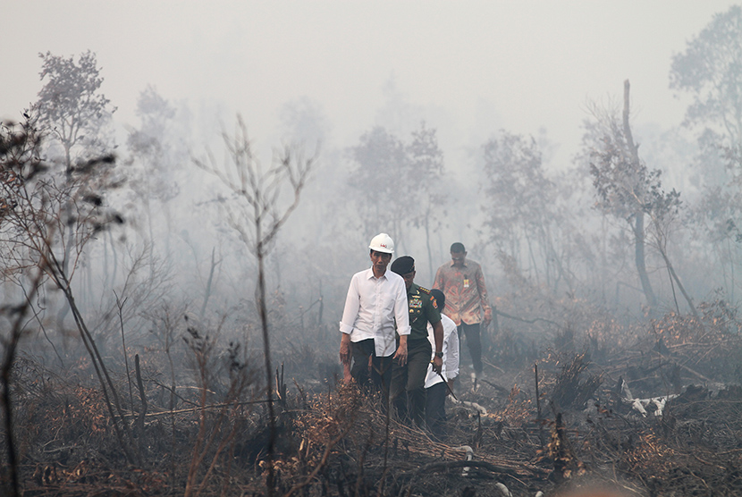 Presiden Joko Widodo didampingi Panglima TNI Jenderal TNI Gatot Nurmantyo (kanan) dan Kapolri Jenderal Pol Badrodin Haiti (tengah) meninjau lokasi kebakaran lahan di Desa Pulo Keronggan, Ogan Komering Ilir, Sumsel, Ahad (6/9). (Antara/Nova Wahyudi)