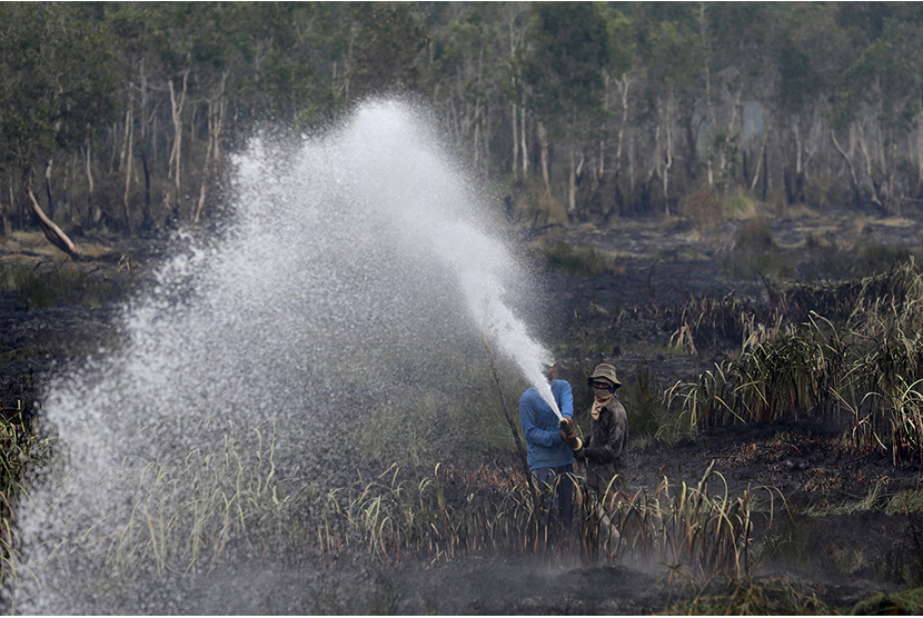 Petugas BPBD memadamkan kebakaran lahan gambut di Sei Rambutan, Ogan Ilir, Indralaya, Sumatra Selatan, Kamis (17/9). 