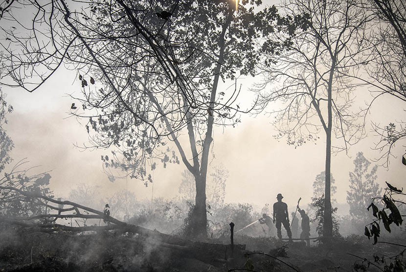   Anggota TNI memadamkan api  di lahan gambut, Desa Rimbo Panjang, Kabupaten Kampar, Riau, Ahad (20/9).   (Antara/Regina Safri)