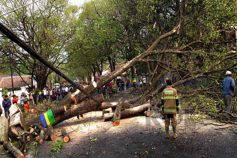  Sejumlah petugas memotong pohon yang tumbang di Jalan Riau, Kota Bandung, Senin (21/9).    (foto : Septianjar Muharam)