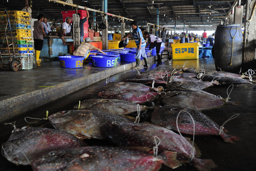   Pekerja mempersiapkan ikan di Pasar Ikan Muara Baru, Jakarta, Jumat (30/10).   (Antara/Wahyu Putro)
