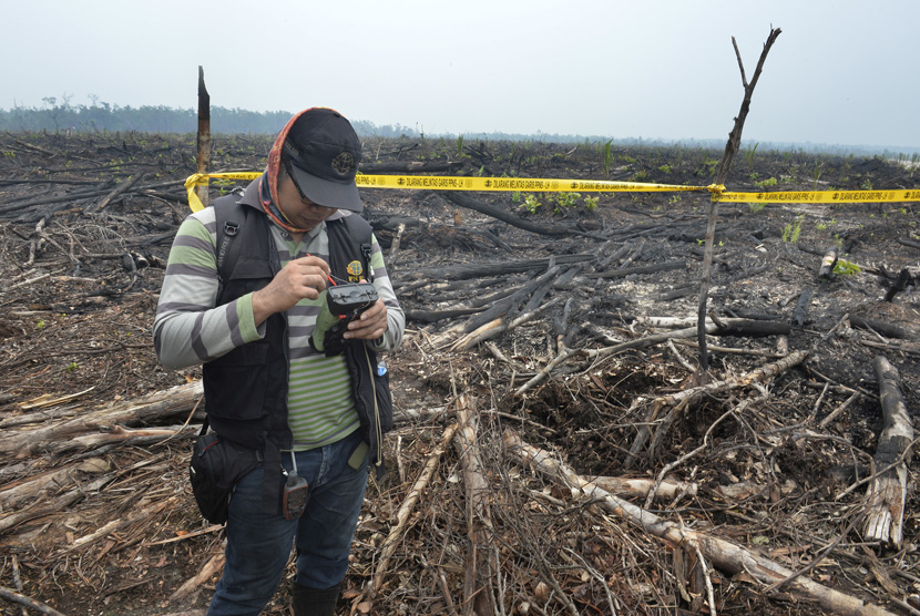 Petugas BPN menggunakan alat ukur memetakan lahan milik perusahaan perkebunan yang dibakar dan telah ditanami sawit di KM 25, Tumbang Tahai, Nyaru Menteng, Kalteng, Jumat (30/19).   (Antara/Saptono)