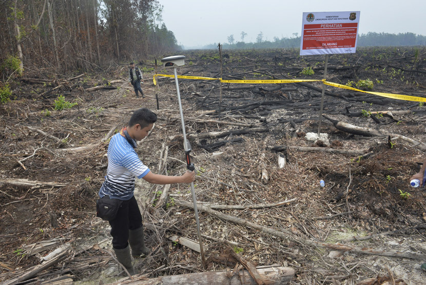Petugas BPN menggunakan alat ukur memetakan lahan milik perusahaan perkebunan yang dibakar dan telah ditanami sawit di Kalteng. (Ilustrasi)  