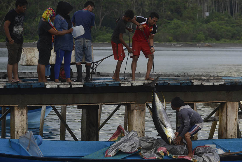 Fishermen unloading tuna fish at the dock of Daeo Village, Morotai Island, on Sunday (November 11, 2016).   (Antara/Fanny Octavianus)