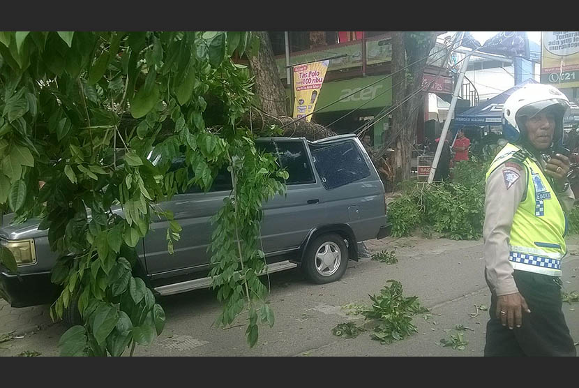  Sebuah mobil ringsek tertimpa pohon yang tumbang