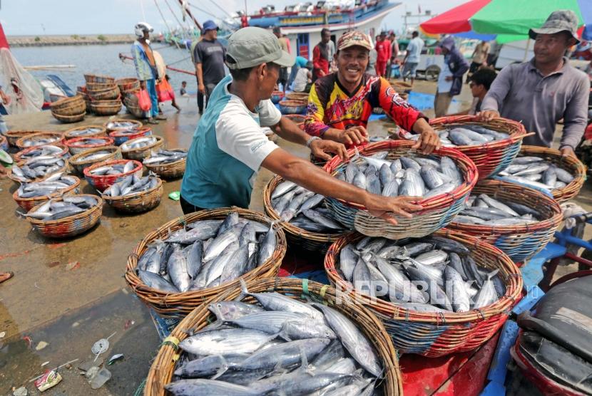 Nelayan membongkar muat ikan jenis tongkol (Euthynnus sp) hasil tangkapan nelayan di Aceh (ilustrasi)