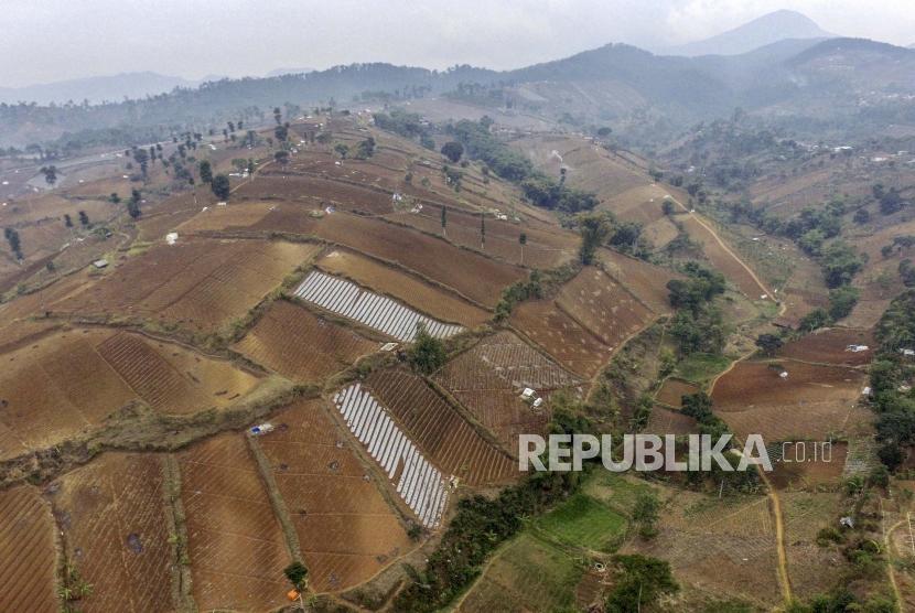 Suasana lahan pertanian yang sebagian besar memenuhi Kawasan Bandung Utara (KBU) di Cimenyan, Kabupaten Bandung, Jumat (11/10).