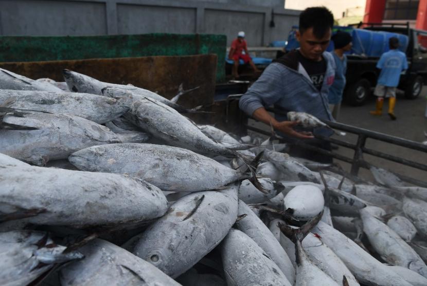 Pekerja memilih ikan hasil tangkapan nelayan di Pelabuhan Muara Baru, Jakarta, Jumat (15/11/2019).