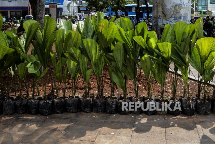 Sejumlah tanaman baru siap tanam di kawasan Cikini, Jakarta, Jumat (27/12).