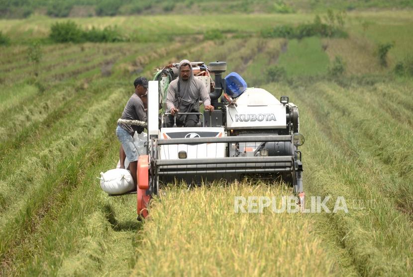 Pekerja memanen padi di persawahan Desa Galur, Kulonprogo, Yogyakarta. Pemerintah Kabupaten Kulon Progo, Daerah Istimewa Yogyakarta, baru mampu mencetak sawah baru rata-rata 50 hektare per tahun.