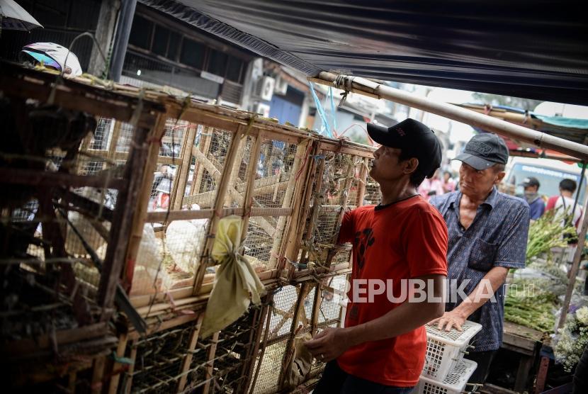 Pemerintah Kota Mataram, Nusa Tenggara Barat, menutup sementara operasional salah satu pasar tradisional, yakni Pasar Panglima atau pasar burung di kawasan Cakranegara (Foto: ilustrasi pasar burung)