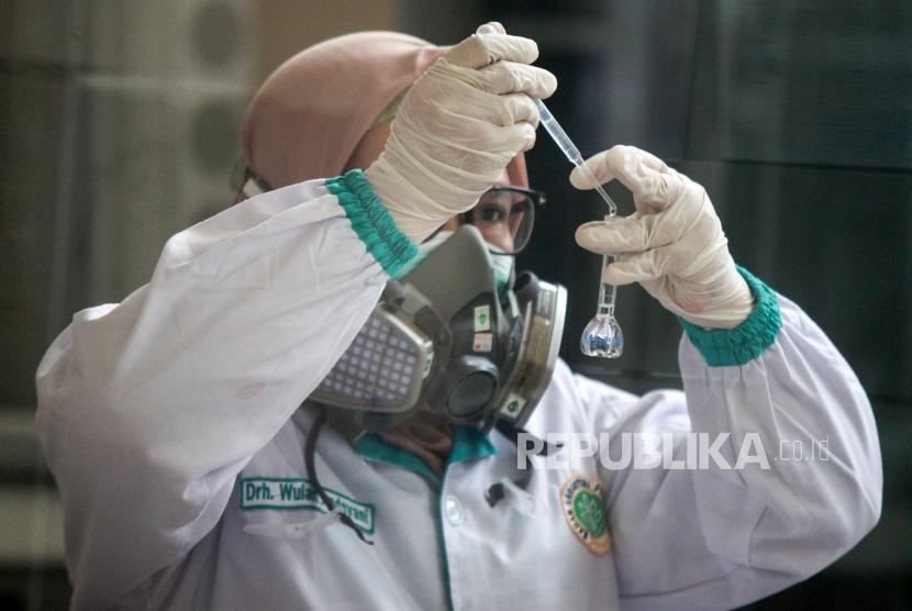 Dokter patologi klinik memeriksa sampel media pembawa virus Corona untuk penelitian di Laboratorium Balai Besar Karantina Pertanian Surabaya di Juanda, Sidoarjo, Jawa Timur, Kamis (6/2/2020).(Umarul Faruq/ANTARA FOTO)