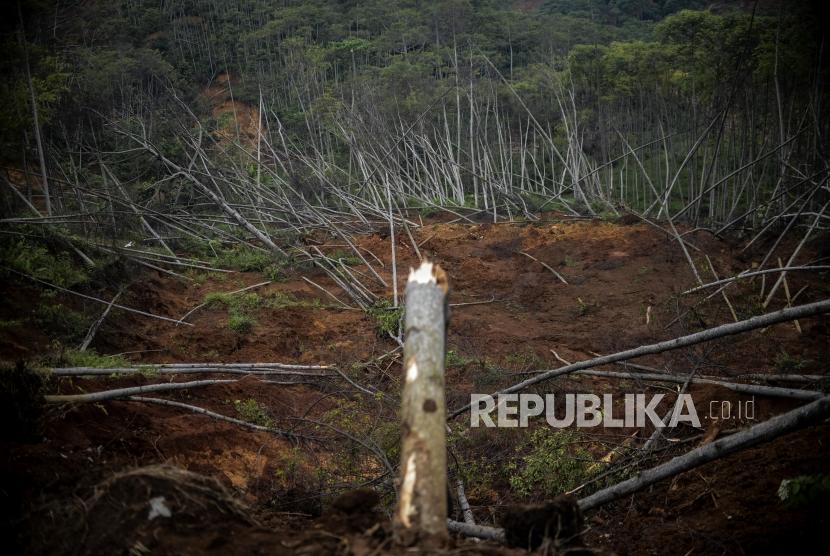 Kondisi hutan yang terdampak longsor di Desa Cileuksa, Kecamatan Sukajaya, Kabupaten Bogor, Jawa Barat, Kamis (13/2).