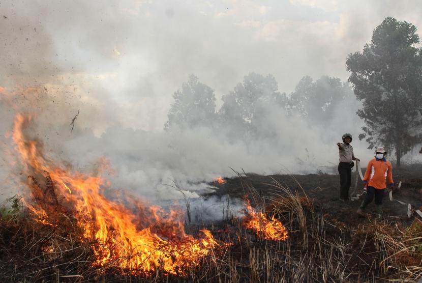Api membakar semak belukar saat terjadi kebakaran lahan di Pekanbaru, Riau. KLHK akan berfokus kepada tujuh provinsi dalam upaya pencegahan dan penanggulangan kebakaran hutan dan lahan (karhutla) 2020, yakni Riau, Jambi, Sumatera Selatan, Kalimantan Barat, Kalimantan Tengah, Kalimantan Selatan dan Kalimantan Timur. 