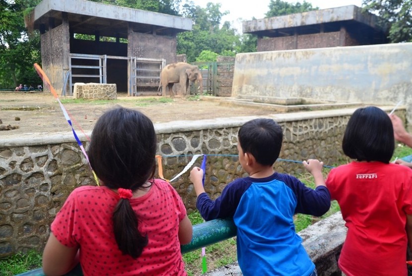  Sejumlah pengunjung menyaksikan gajah Sumatera ketika berlibur di Kebun Binatang Ragunan, Jakarta Selatan, Jumat (1/1).  (foto : MgROL_54)
