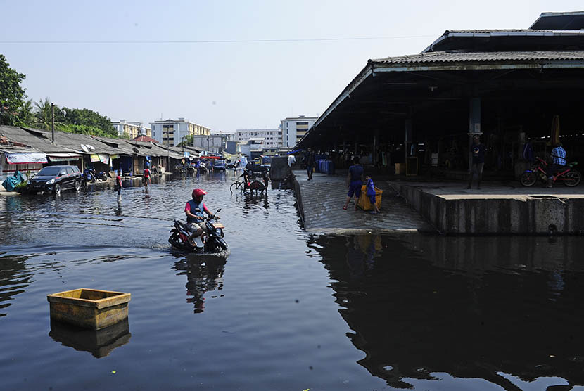 Pengendara sepeda motor melintasi banjir rob di Kawasan Pasar Ikan Muara Baru, Jakarta, Selasa (7/6).  (Antara/Wahyu Putro A)