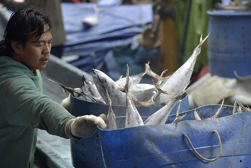 Pekerja memindahkan ikan tuna hasil tangkapan dari kapal di Pelabuhan Muara Baru, Jakarta, Senin (5/12). 