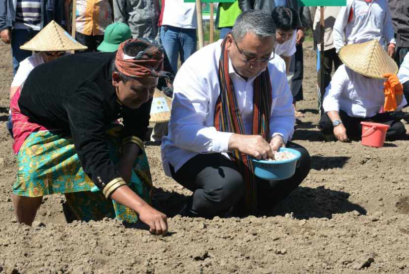 Menteri Desa PDTT, Eko Putro Sandjojo saat menanam bibit bawang putih di Desa Sembalun Lawang, Lombok Timur, Rabu (24/5).