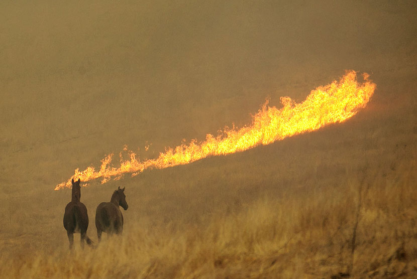 Kebakaran hutan dahsyat melanda Kalifornia, Senin (9/10).
