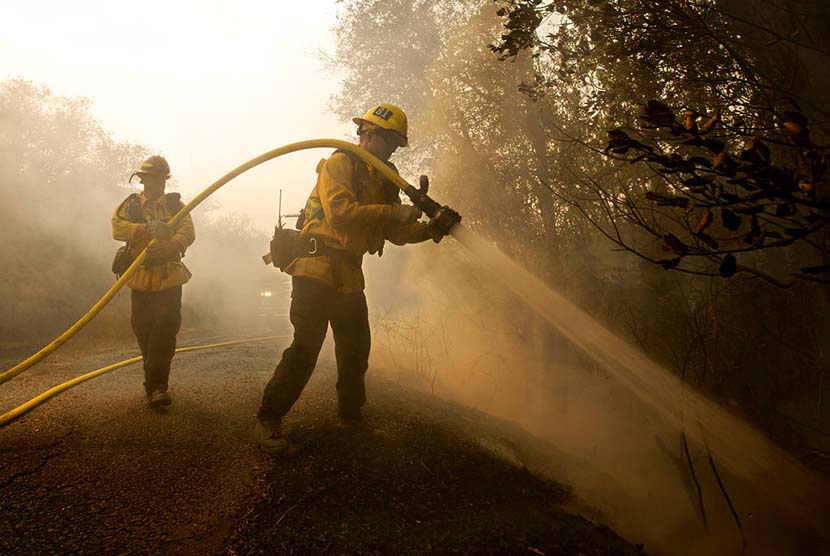 Petugas pemadam kebakaran berjuang untuk mengatasi kebakaran hutan di  Kalifornia, Kamis (12/10) waktu setempat.  . 