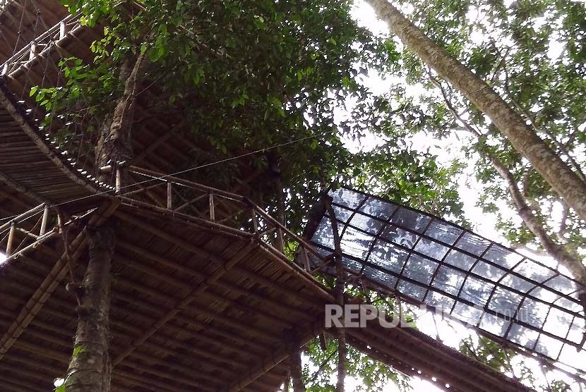  Cara Membuat Rumah Pohon  Yang Mudah Sekitar Rumah 