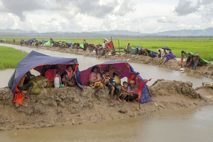  Pengungsi muslim Rohingya berteduh dari hujan di bawah kain plastik, setelah tentara Bangladesh   melarang mereka bergerak menuju kamp pengungsian di Palong Khali, Bangladesh, Selasa (17/10).