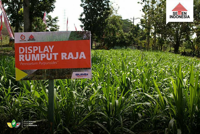 PT Semen Indonesia (Persero) Tbk bekerja sama dengan Perum Perhutani mengembangkan program Integrated Forest Farming and Industry System.