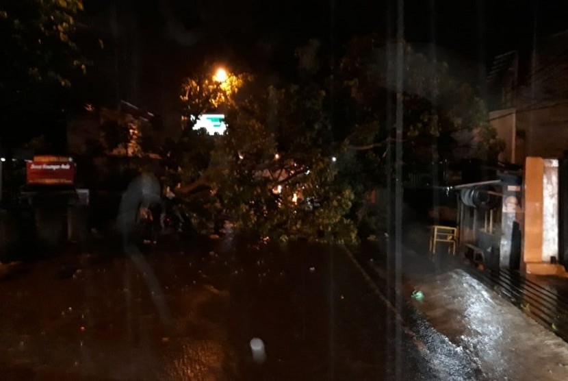 Hujan deras di wilayah Kabupaten Bandung yang terjadi sejak pukul 16.00  Wib, Rabu (7/11) hingga saat berita ini diturunkan, mengakibatkan pohon  tumbang di wilayah Soreang. Dampaknya, akses jalan kendaraan menjadi  terhambat.