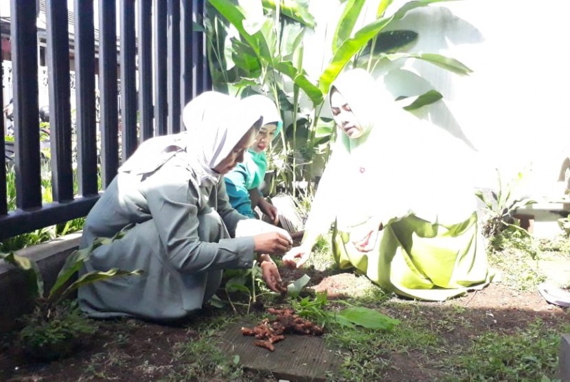 Ibu-ibu perumahan di Kecamatan Sukaraja, Kabupaten Sukabumi Jawa Barat memproduksi minuman jamu dari halaman rumah dan dipasarkan hingga ke beberapa daerah Jumat (16/11).