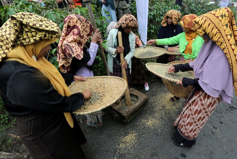Petani menumbuk dan menampi kopi arabika seusai panen massal dalam rangkaian festival panen kopi gayo di Rembele, Bener Meriah, Aceh, Rabu (21/11/2018).