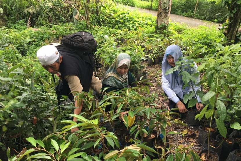 PLN Sumbar menanam 1.000 bibit pohon produktif dan pelindung di kawasan Danau Maninjau, Agam, Sumatra Barat. 
