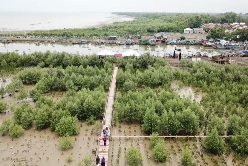Pesona ekowisata hutan mangrove yang berada di pesisir Laut Jawa, Dusun Pasir Putih, Desa Sukajaya, Kecamatan Cilamaya Kulon, Karawang, Kamis (5/12).