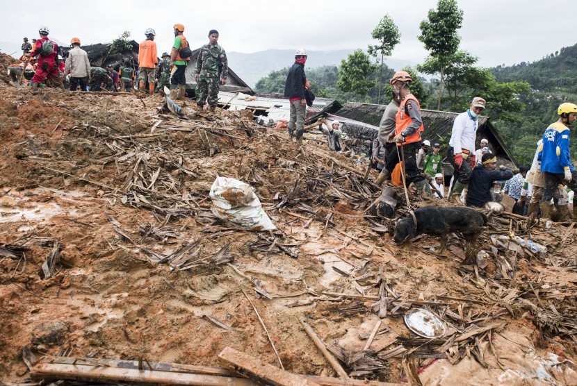 Petugas gabungan bersama anjing pelacak mencari korban yang tertimbun tanah longsor di kampung Cimapag, Desa Sirnaresmi, Kecamatan Cisolok, Kabupaten Sukabumi, Jawa Barat, Kamis (3/1/2019). 