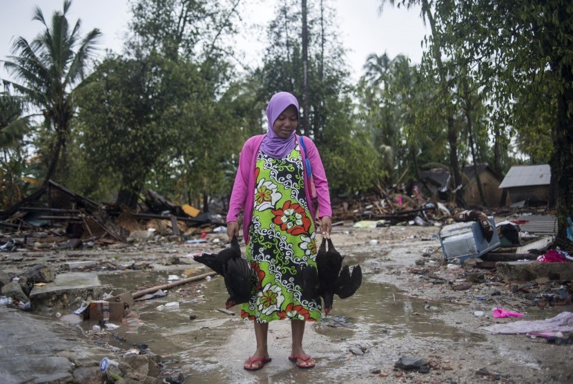 Penyintas tsunami Selat Sunda, Suhana (25) membawa dua ekor ayam dari bekas rumahnya yang rusak diterjang tsunami di Sumur, Pandeglang, Banten, Kamis (3/1/2019). Kementerian Keuangan memastikan penyediaan anggaran untuk antisipasi maupun penanggulangan bencana dengan pagu mencapai Rp 15 triliun pada 2019.