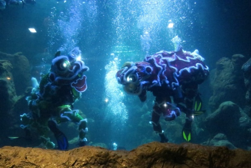 Sea World sambut Imlek dengan pertunjukan Underwater Barongsai berjudul The Legend of 12 Shio.