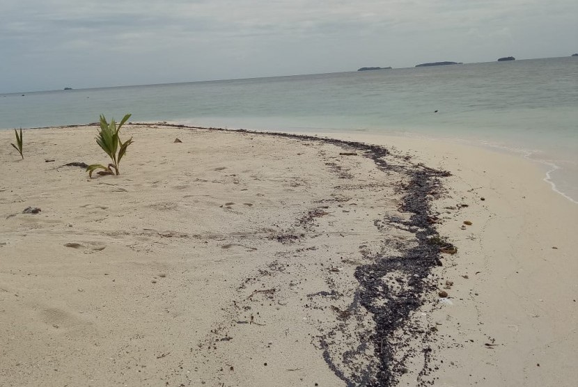 Limbah minyak mentah di Pulau Pantara, Kepulauan Seribu, Senin (4/2).