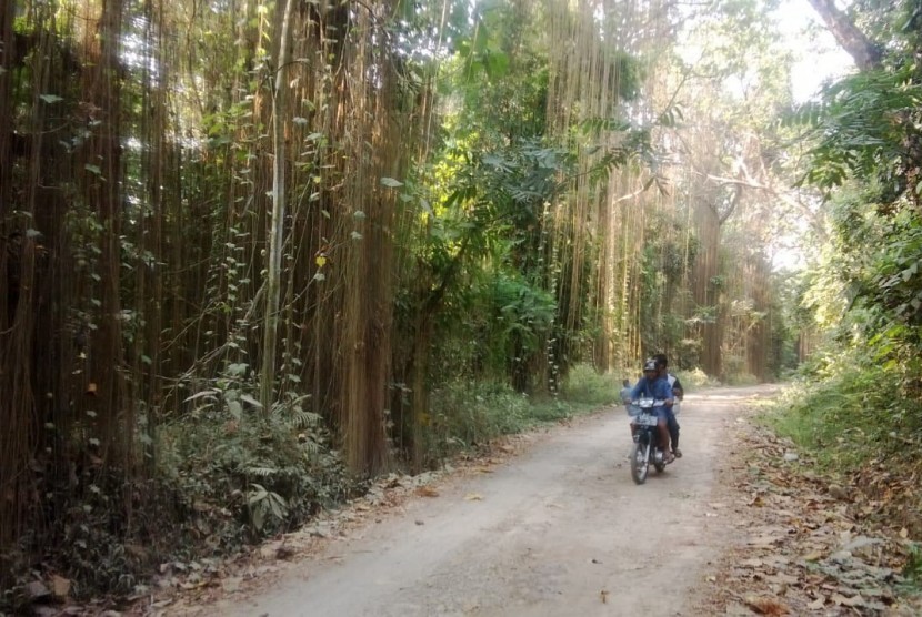 Hutan keanekaragaman hayati milik PT Pupuk Kujang Cikampek. Di hutan yang luasnya mencapai 47,7 hektare ini, terdapat 27 spesies pohon langka khas Jawa Barat.