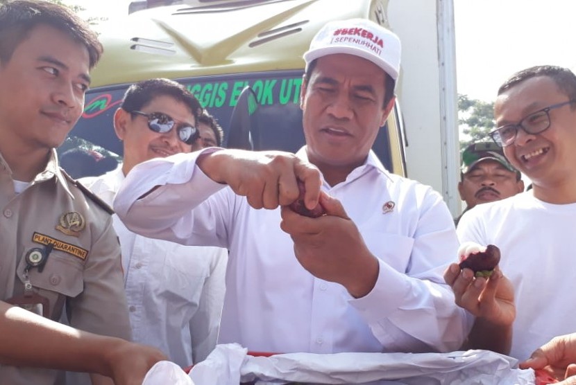 Mentan Andi Amran Sulaiman: Menteri Pertanian Andi Amran Sulaiman melepas ekspor manggis di Kecamatan Cikembar, Kabupaten Sukabumi, Jawa Barat Kamis (21/2).