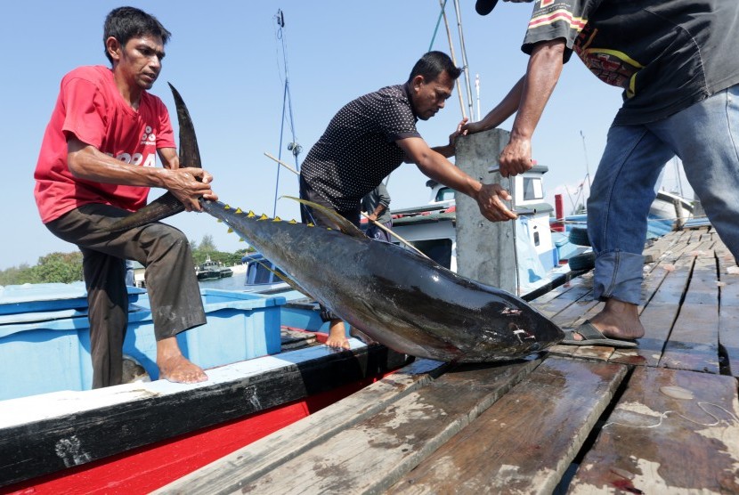 Buruh dan nelayan membongkar muat ikan tuna hasil tangkapan di Pelabuhan Pendaratan Ikan Ulee Lheu, Banda Aceh, Aceh.