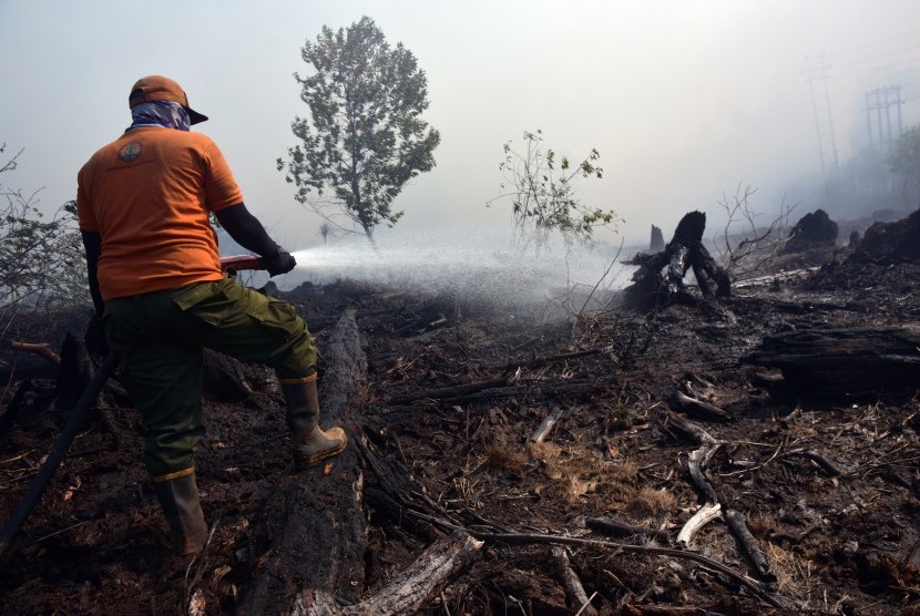 Siaga Darurat Karhutla: Petugas pemadam kebakaran Manggala Agni Kementerian Lingkungan Hidup dan Kehutanan, memadamkan kebakaran lahan gambut di Kota Dumai, Riau, Selasa (26/2/2019). 