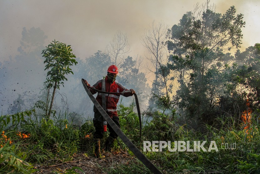 Petugas Manggala Agni berusaha memadamkan kebakaran lahan gambut di Pekanbaru, Riau, Selasa (19/3/2019).