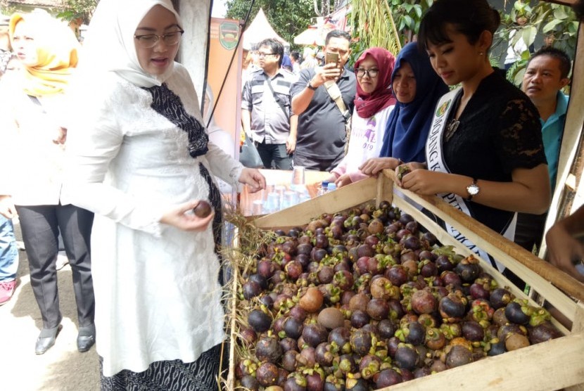 Bupati Purwakarta Anne Ratna Mustika, saat mengunjungi stand dalam Festival Manggis Purwakarta 2019. Pemkab Purwakarta berencana menyiapkan lahan untuk penelitian manggis yang menjadi salah satu buah khas Purwakarta.