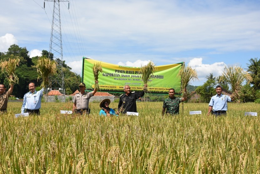 Panen raya padi yang dilakukan Gapoktan Agro Jogotirto di  Kecamatan Berbah, Kabupaten Sleman, DIY, Selasa (26/3).