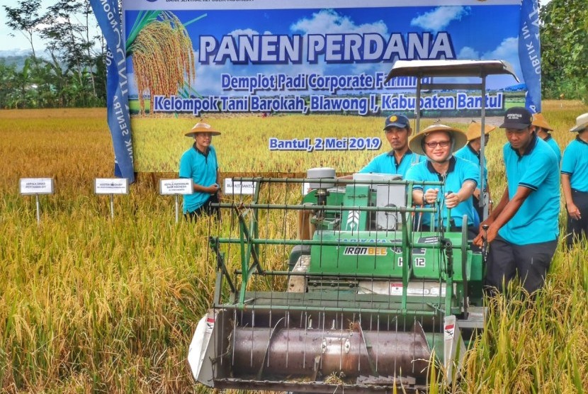Kelompok Tani Barokah di Dusun Blawong, Bantul,  melakukan panen perdana demplot atau lahan percontohan padi, Kamis (2/5).  