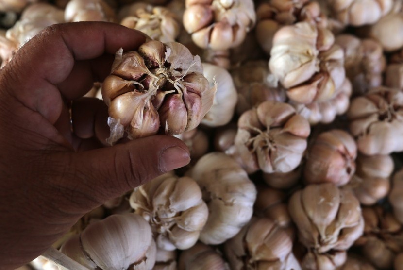 Pedagang menata bawang putih yang dijajakan di pasar Ulee Kareng, Banda Aceh, Aceh, Selasa (7/5/2019).