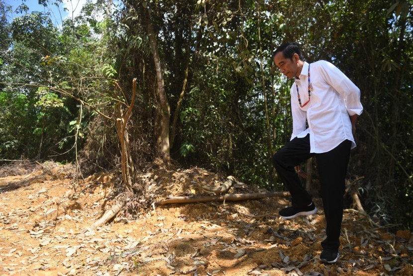 Presiden Joko Widodo berjalan di kawasan hutan saat meninjau salah satu lokasi calon ibu kota negara di Gunung Mas, Kalimantan Tengah, Rabu (8/5/2019).