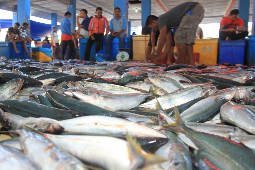 Sejumlah pedagang menyortir dan menata ikan hasil tangkapan nelayan di Pelabuhan Ujong Baroh, Kecamatan Johan Pahlawan, Aceh Barat, Aceh, Senin (13/5/2019).