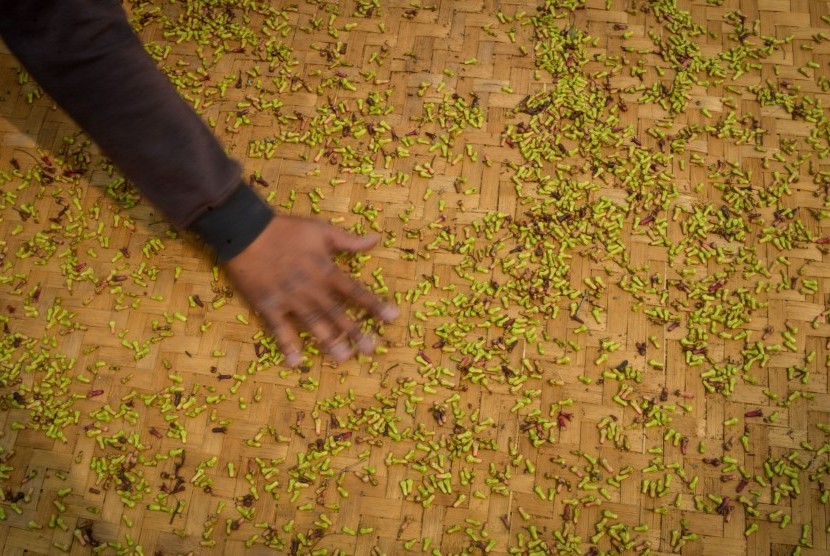 Petani mengeringkan biji cengkih yang telah dipanen di Desa Sindanglaya, Kabupaten Bandung, Jawa Barat, Senin (24/6/2019). 