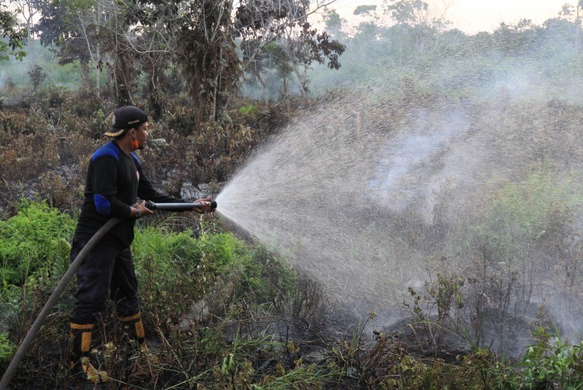 Petugas berusaha memadamkan kebakaran lahan gambut di Desa Alue Peunyarieng, Kecamatan Meureubo, Aceh Barat, Aceh.